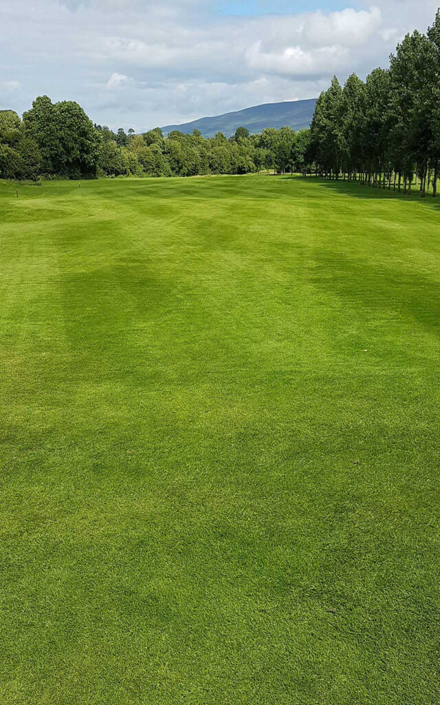Slievenamon Golf Club
