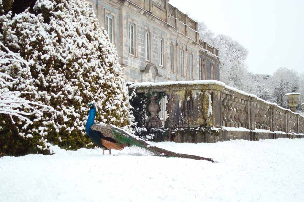 Gloster House