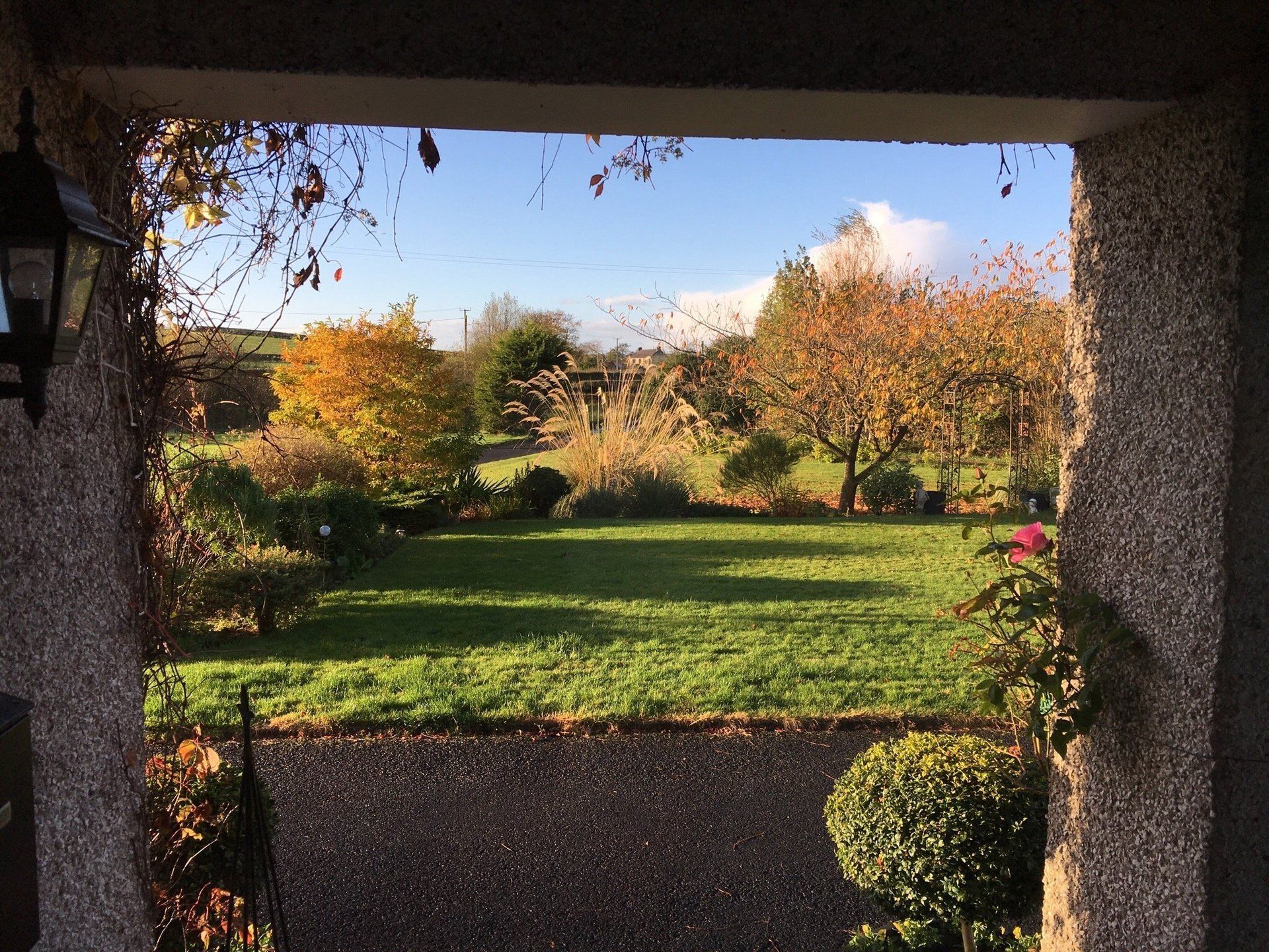 Meadow View B&B