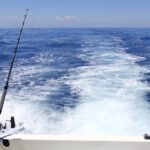 Dulrush Fishing Lodge