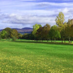 Slievenamon Golf Club