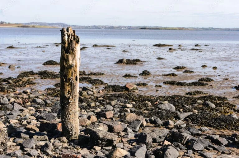 The Cuan Restaurant & Hotel