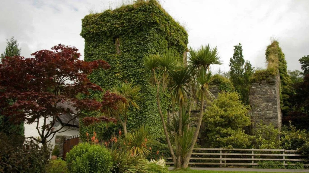 The Mills Inn