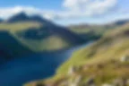 The Donard