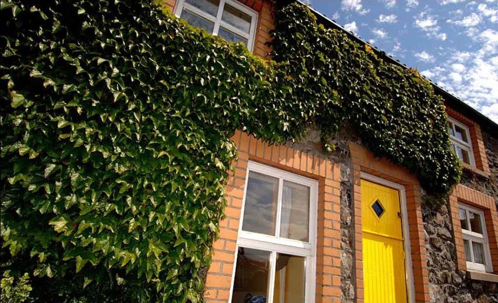 Hillcrest Cottage
