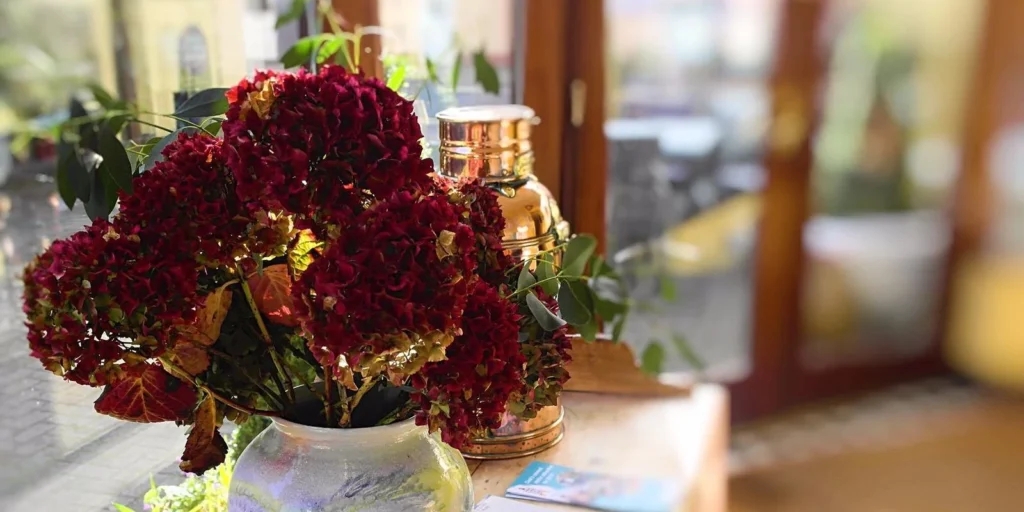 Ahernes Townhouse and Seafood bar