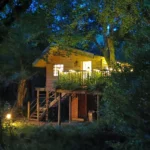 Teapot Lane Glamping