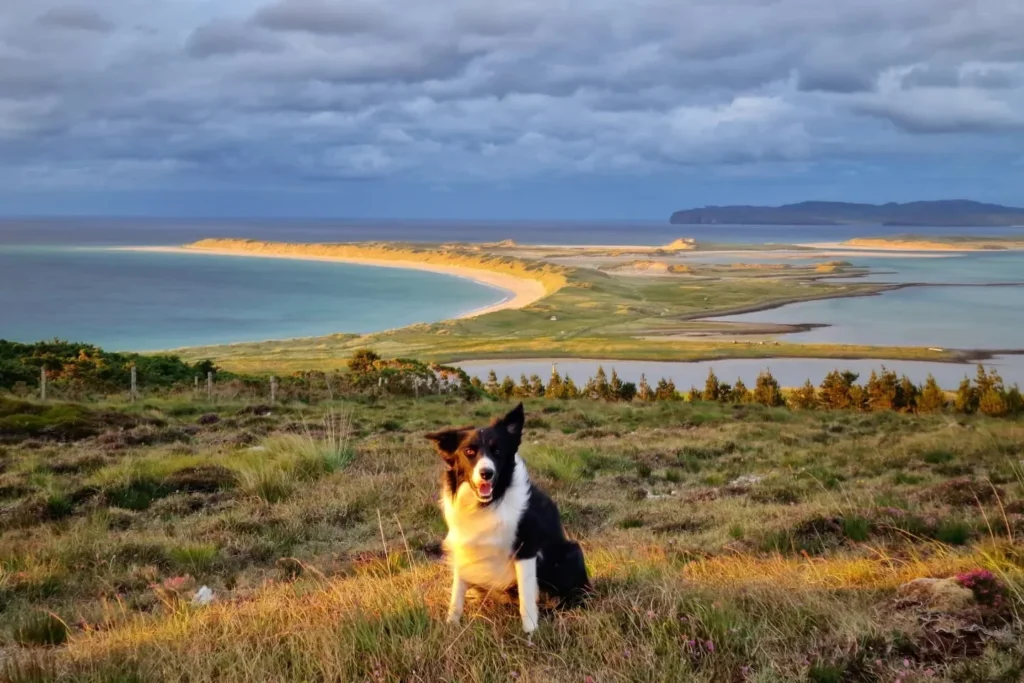 Machaire Rabhartaigh Glamping